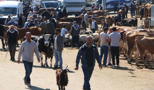 Diyarbakır'da kurbanlık hareketliliği