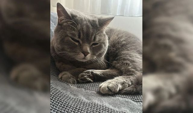 Diyarbakır’da “Paris” Seferberliğinde mutlu son