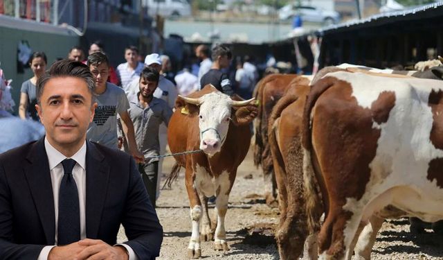 Diyarbakır’dan Kurban keseceklere önemli uyarı!