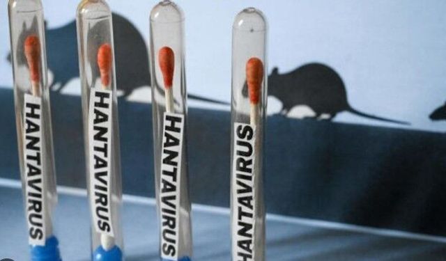 Sağlık Bakanlığı’ndan Hantavirüs açıklaması