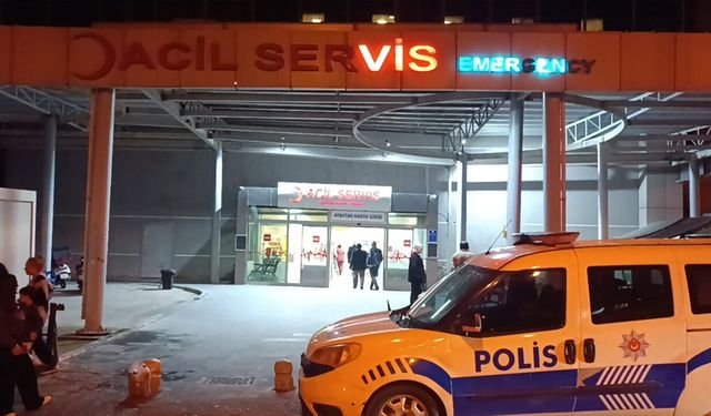 Şanlıurfa'da üvey kardeşler kendi arasında çatıştı: 2 ölü