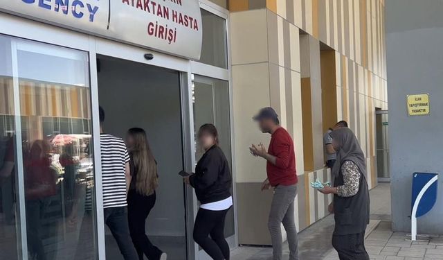 Van'da 171 acemi kasap hastanelik oldu