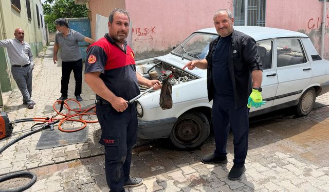 Park halindeki otomobil motoruna yılan girdi