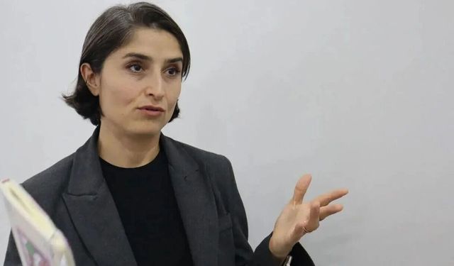 DEM Partili Cupolo'dan erişim engellerine tepki