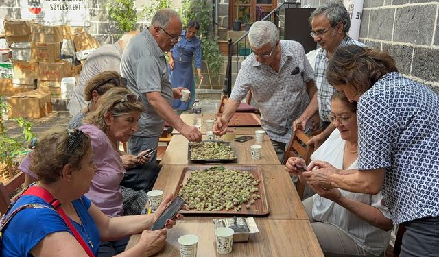Diyarbakır’da dut ağacından ipek kumaş tarihine yolculuk