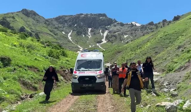 Hakkari'de 62 yaşındaki adamı yılan ısırdı