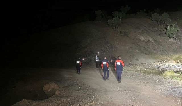 Herkes kayıp çobanı arıyor