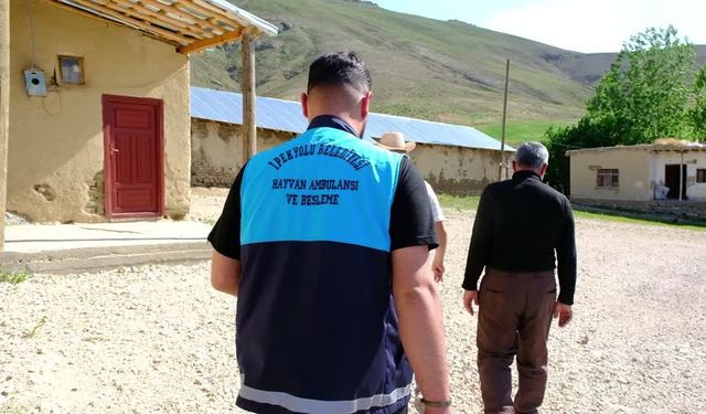 Van'da kuduz karantinası