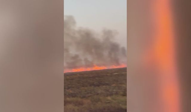 Mardin'de örtü yangınları söndürüldü
