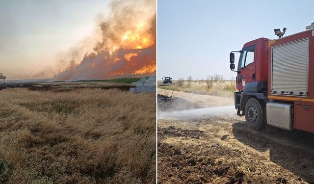 Mardin'de 8 ayrı noktada yangın
