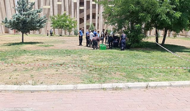 Parkta cansız bedeni bulundu
