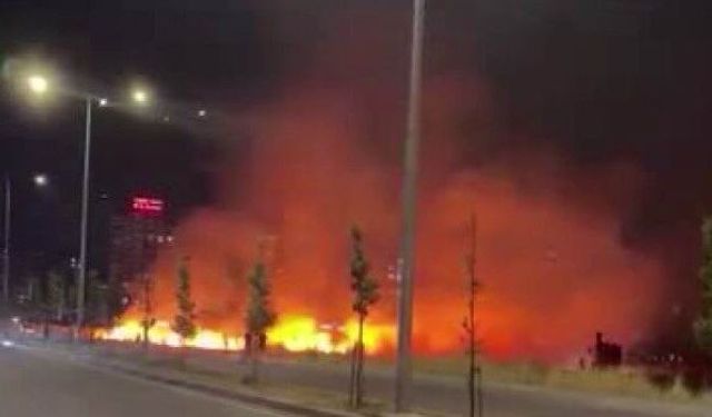 Diyarbakır' da korkutan yangın: Kuru otlar alev aldı
