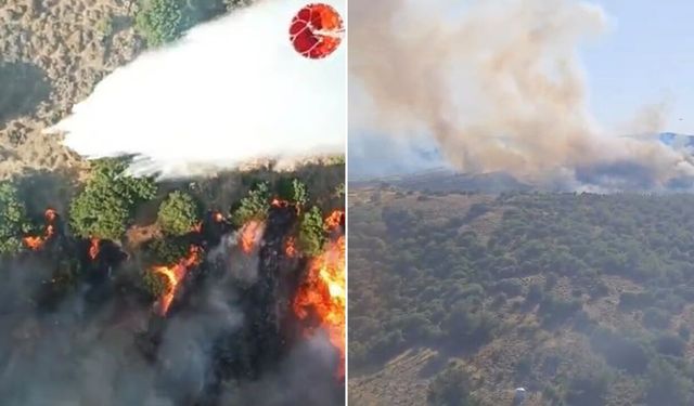 Orman yangınına havadan 6 uçakla müdahale