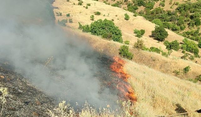 Malatya'da orman yangını