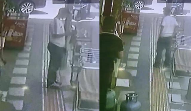 Mardin'de papağanın çalındığı anlar kamerada