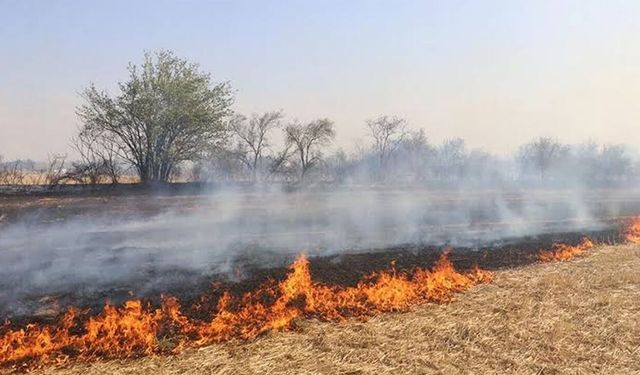Şanlıurfa’da anız yakan 303 kişiye 21 milyon lira ceza