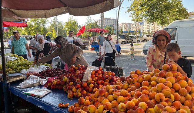 Diyarbakır’da vitamin almak cep yakıyor