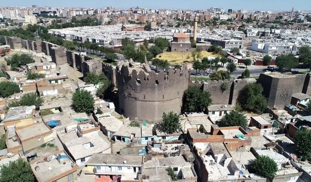 Diyarbakır’da 3 yaşındaki çocuk kuduz oldu: 50’ye yakın kişi aşıya yönlendirildi