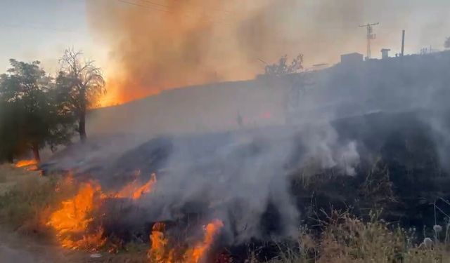 Elazığ'da otluk alanda yangın