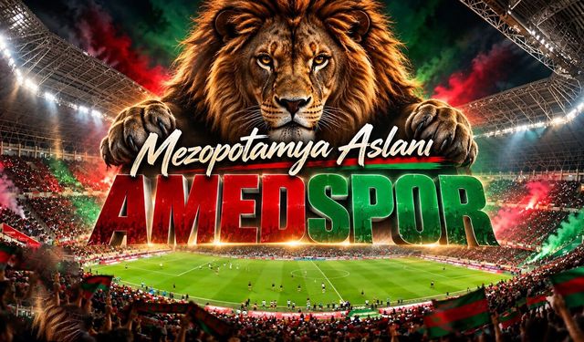 Mezopotamya Aslanı AMEDSPOR