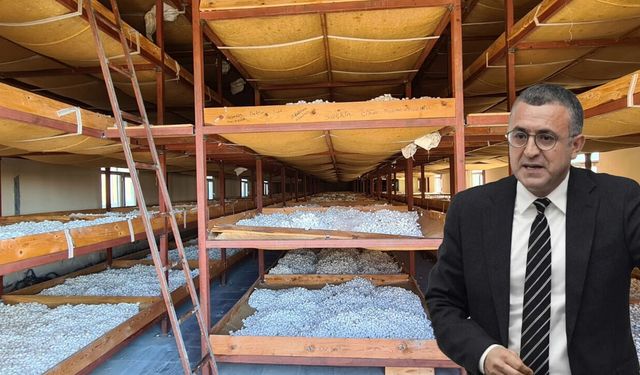 Diyarbakır’ın ipek böcekçiliği Meclis gündeminde