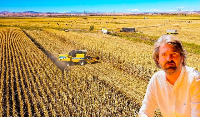 Diyarbakır’da mısır ekiminde olumlu gelişme: Çiftçinin fiyat beklentisi 16 TL