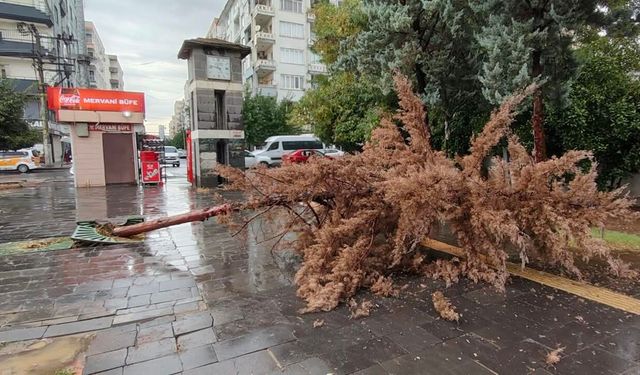 Diyarbakır'da fırtına sonrası dehşet!