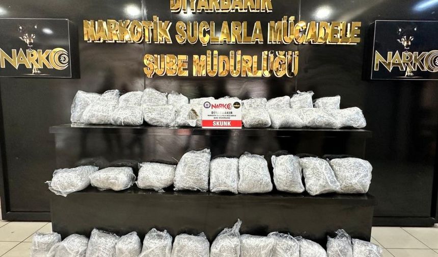 Diyarbakır’da operasyon: 29 kişi tutuklandı