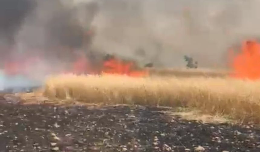 Hani’de yüzlerce dönümlük arazi kül oldu