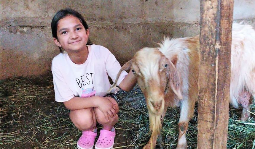 Kaçan kurbanlık keçi, 5 gün sonra boş bir evde bulundu