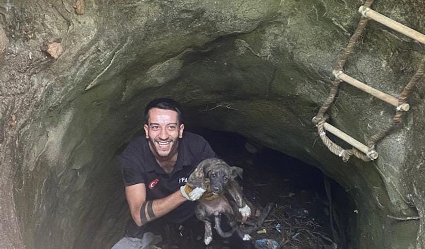 Silvan'da kuyuya düşen köpeği itfaiye ekibi kurtardı