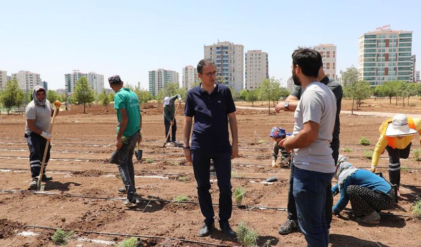 Kayapınar’a Diyarbakır’ın ilk Tıbbi Aromatik Bitkiler Bahçesi kuruluyor