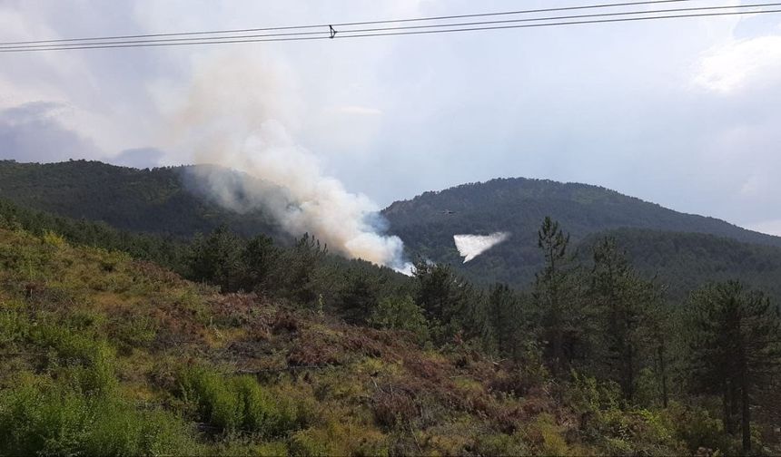 Bolu'da orman yangını