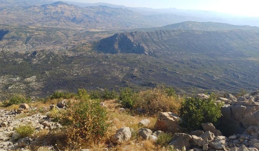 Hani'deki yangın kontrol altına alındı; 12 hektarlık alan kül oldu