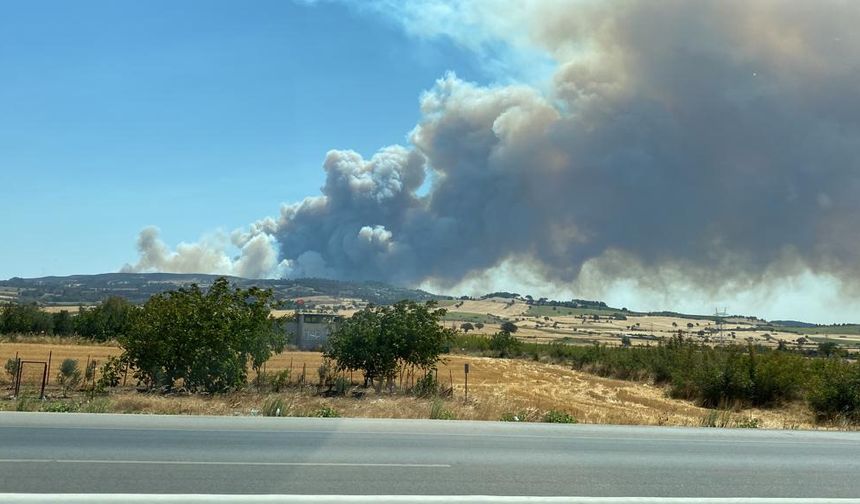 Çanakkale’de orman yangını