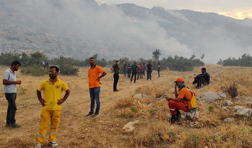 Hani’deki orman yangını devam ediyor