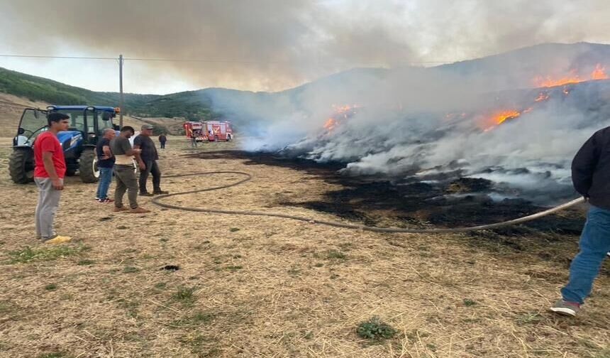 Bir yıllık otu kül oldu
