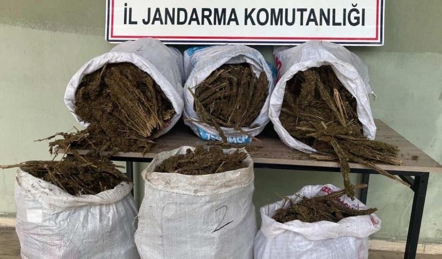 Hazro ve Kocaköy'de 121 kilo esrar ele geçirildi