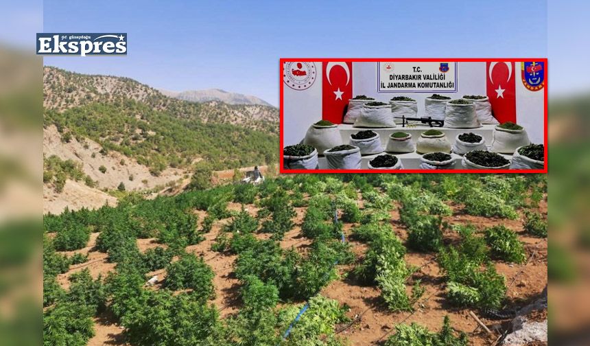 Silvan ve Lice’de 1,5 ton esrar ele geçirildi