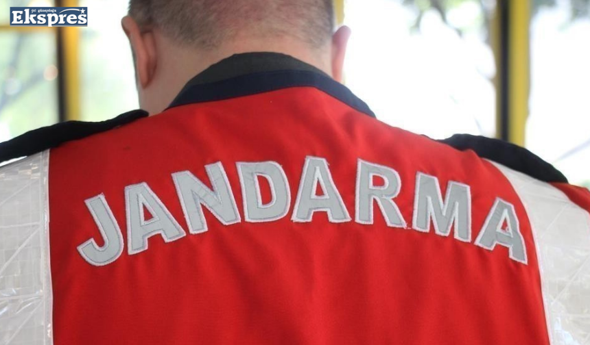 Yavru kedileri parçalayarak öldüren şüpheliye ev hapsi verildi