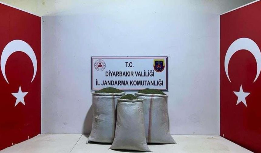 Lice’de 97 kilo toz esrar ele geçirildi