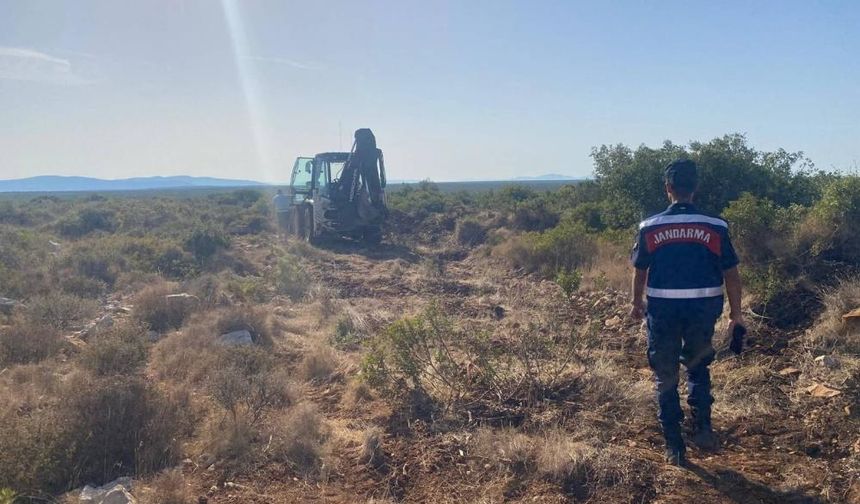 Hazine arazisinde kaçak kazıya jandarma baskını