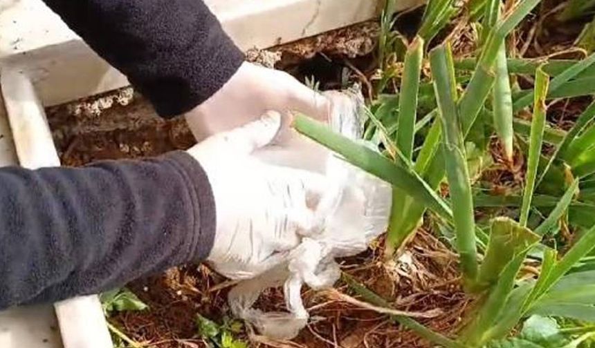 Uyuşturucuyu dedesinin mezarına sakladı
