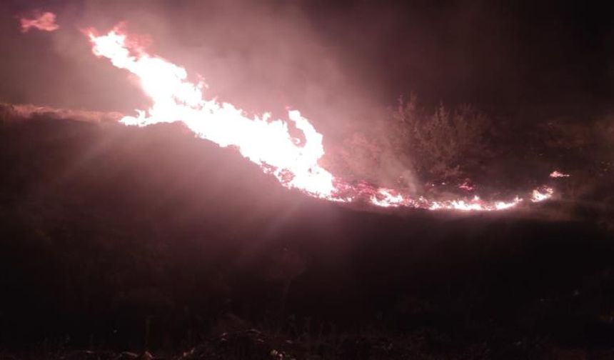 Marmaris’te orman yangını