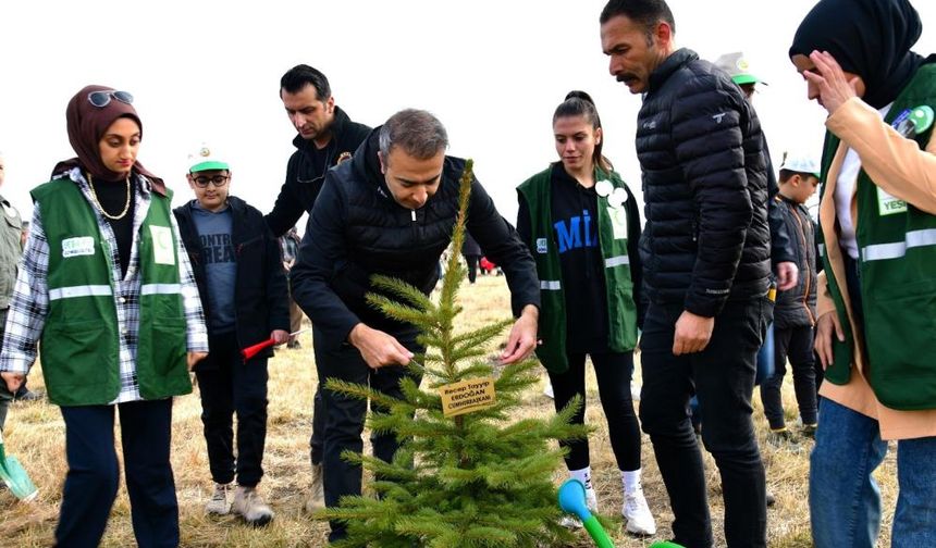 Ardahan’da fidan dikim kampanyası