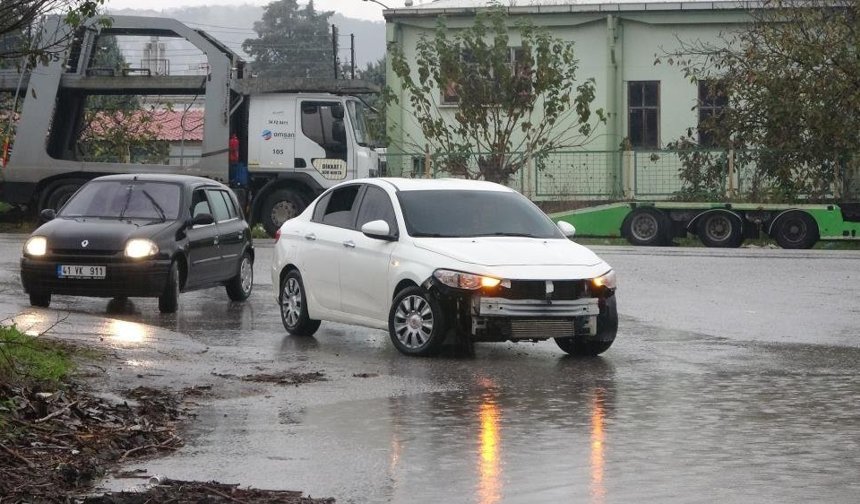 Şiddetli rüzgar ağacı kökünden söktü