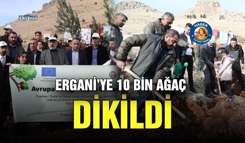 Ergani’ye 10 bin ağaç dikildi