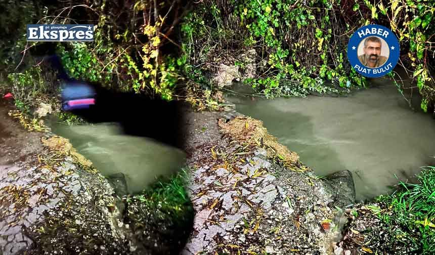Aşırı yağış Hani’de can aldı