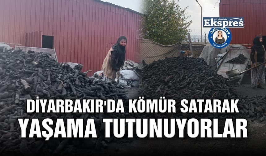 Kömür satarak yaşama tutunuyorlar