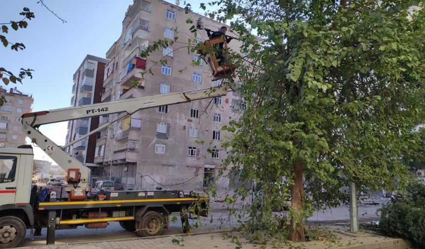 Bağlar’da çevre düzenlemesi